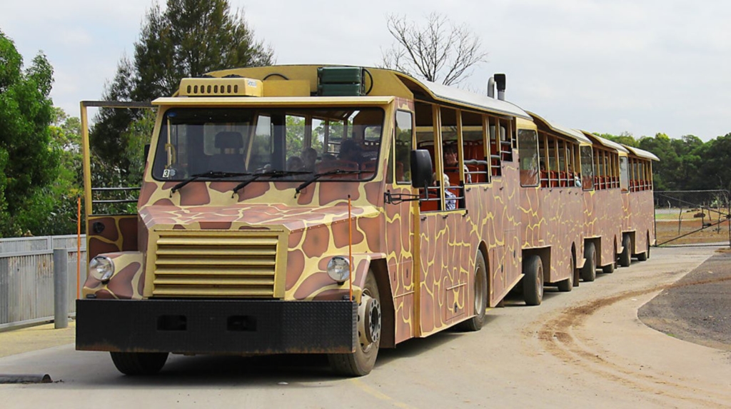 werribee safari bus