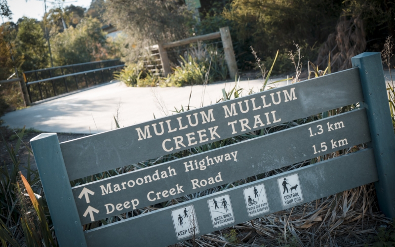Mullum_Mullum_Creek_Trail