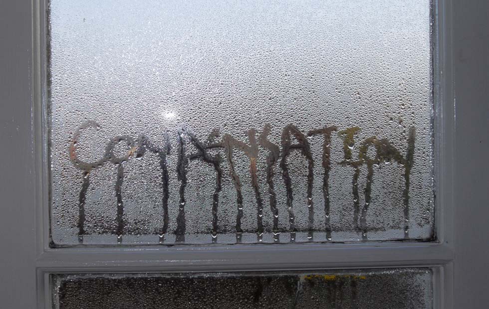 How to Prevent Window Condensation - Branch Property Investigations