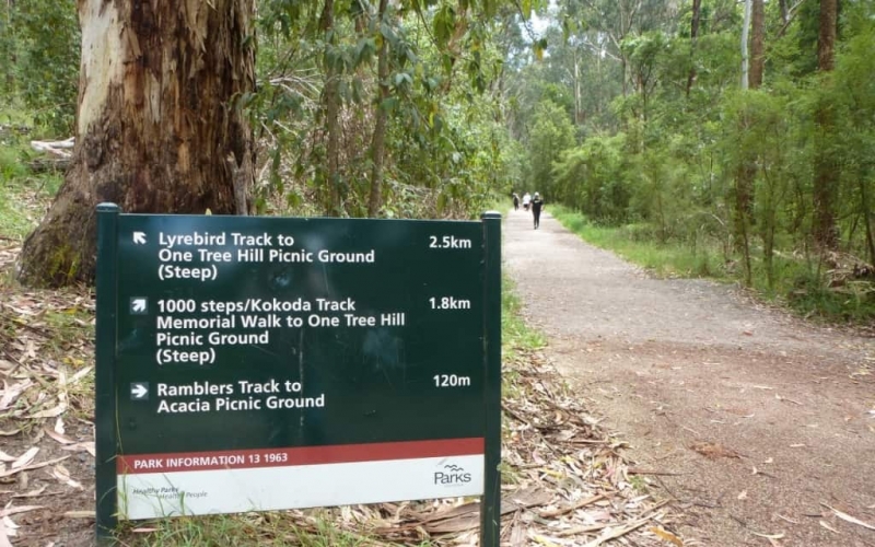 Trail-Dandenong-Ranges