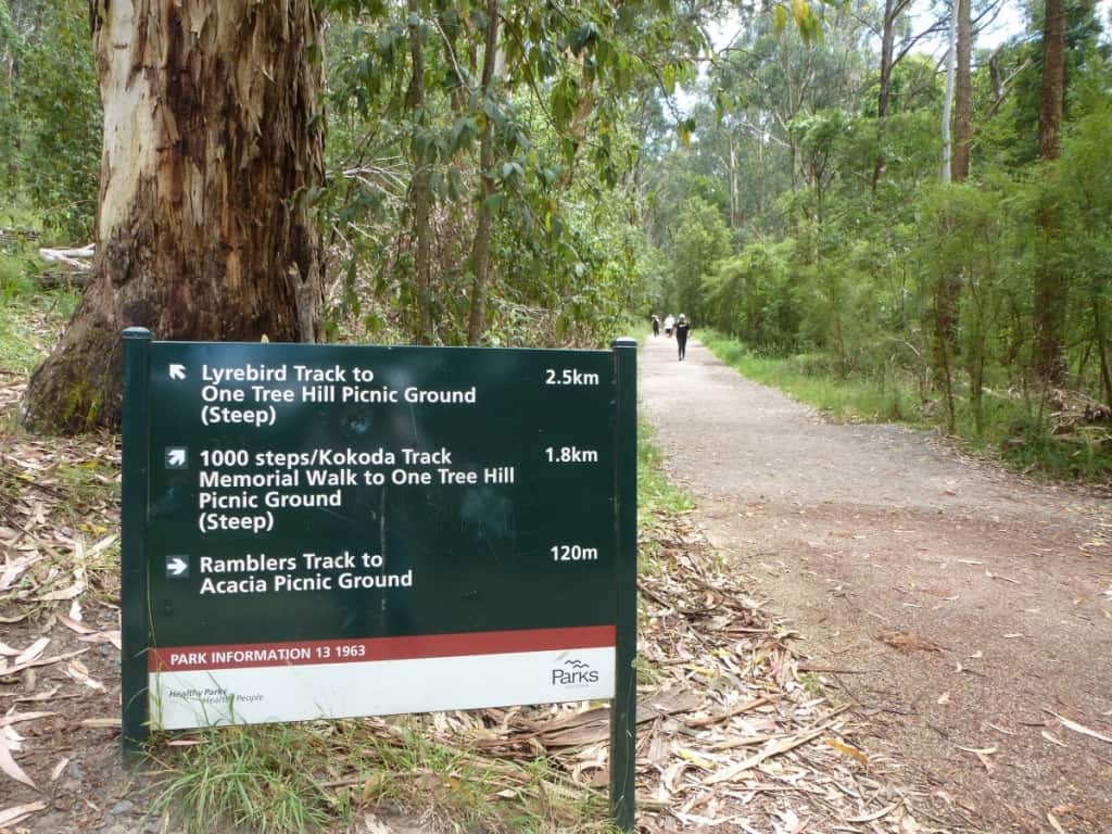trek dandenong road