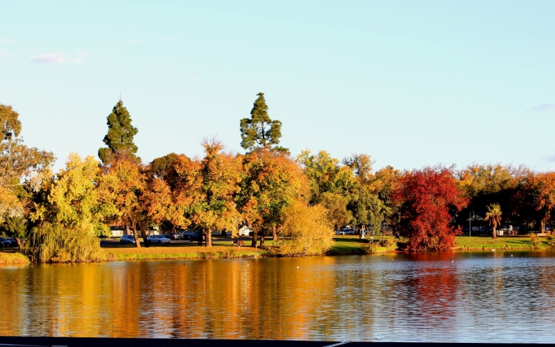 Bendigo_Lake_Weeroona