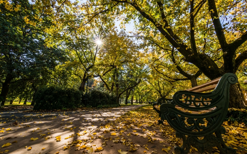 Bendigo_Rosalind_Park