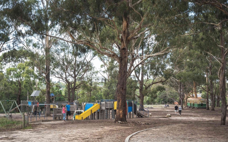 Wattle Park is popular among locals.