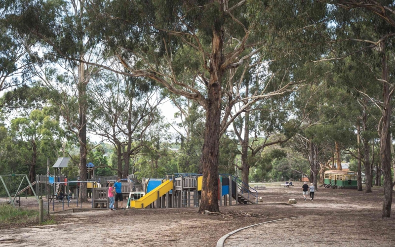 Wattle Park is popular among locals