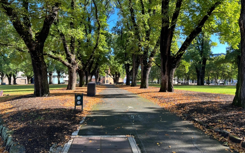 Argyle Square Carlton