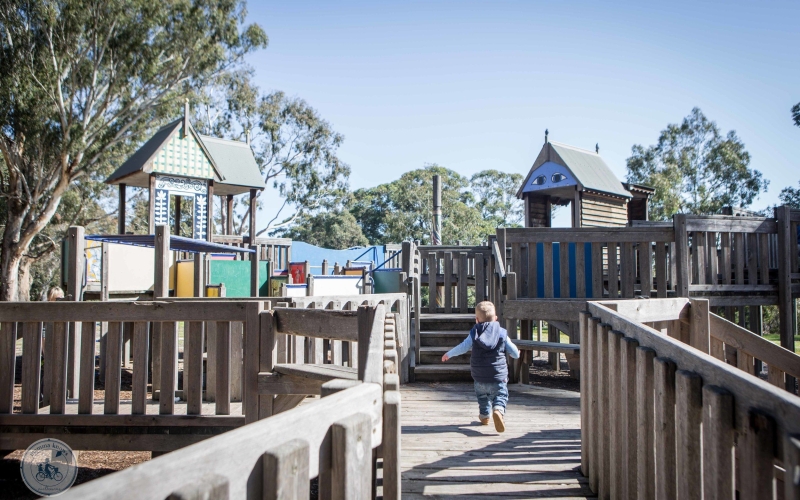 Wattle Park is well known for the fact it has over 12,000 wattle trees.