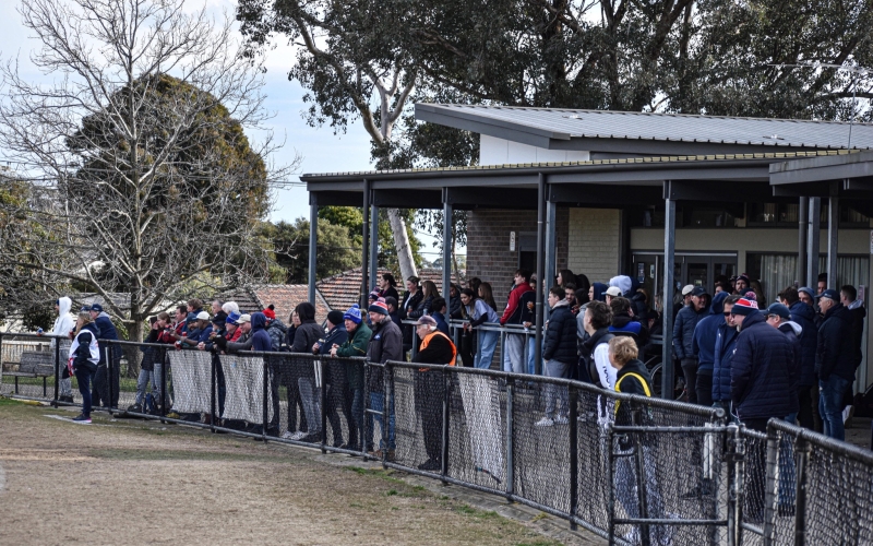 Waverley_Blues_Football_Netball_Club