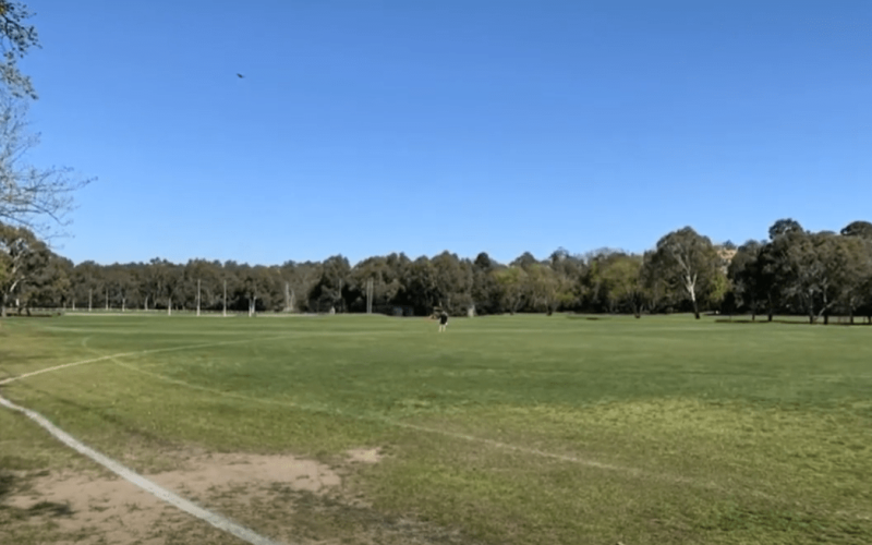 Chelsworth Park has an off-the-leash dog area.