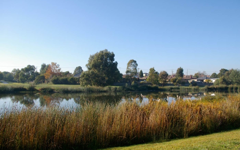 Edwardes Lake wetland. Credit image: https://water.darebin.vic.gov.au/