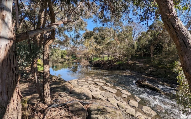 Glen Iris Park. Credit image: Karl Bennett