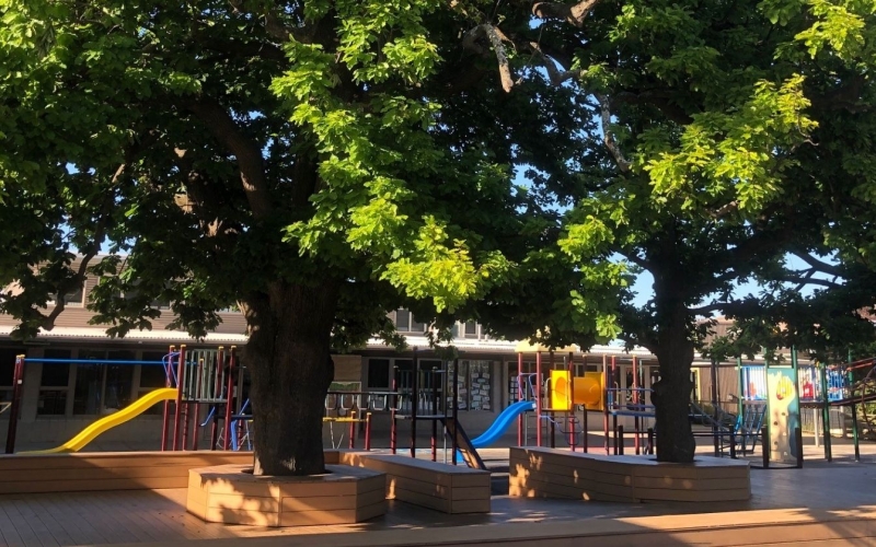 Mount Waverley Primary School. Credit image: https://www.mountwaverleyps.vic.edu.au/