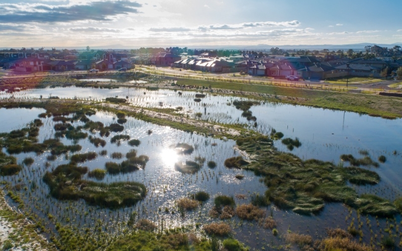 Wetlands in the Accolade Estate. Credit image: https://www.facebook.com/accoladerockbank/photos