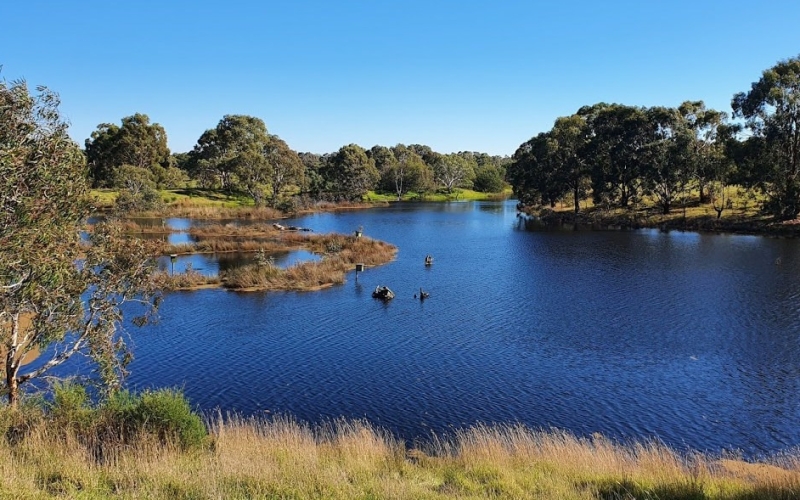 Morang Wetlands. Credit image: https://thenomadsinc.tidyhq.com/