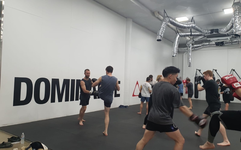 Dominance MMA is a martial arts school.