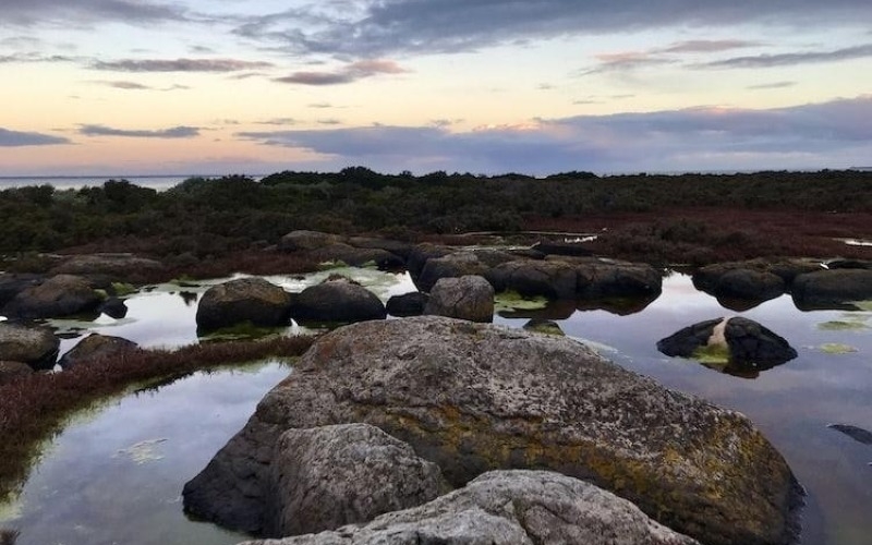Jawbone Marine Sanctuary. Credit Image: https://thesabbaticalguide.com