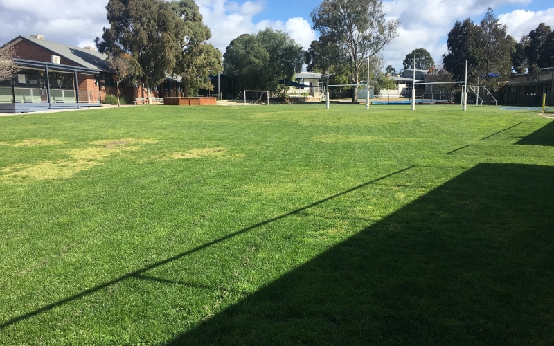 Wembley Primary School. Credit image: https://www.wembleyps.vic.edu.au/