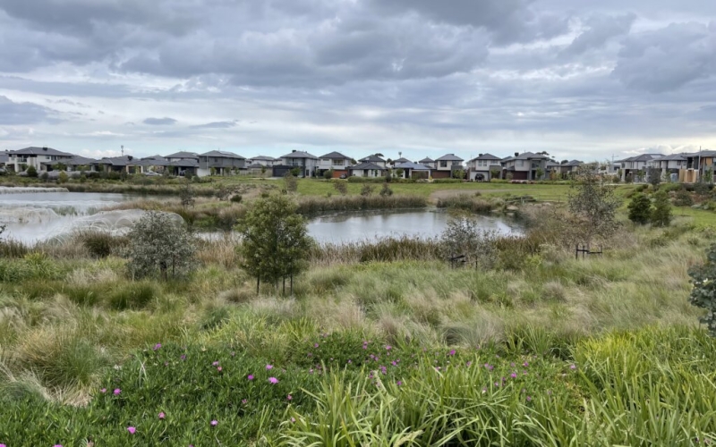Wetlands in Williams Landing. Credit image: https://life-in-melbourne.com.au/