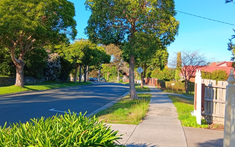 Ashburton is a leafy, family-friendly suburb in Melbourne,  known for its peaceful residential streets.