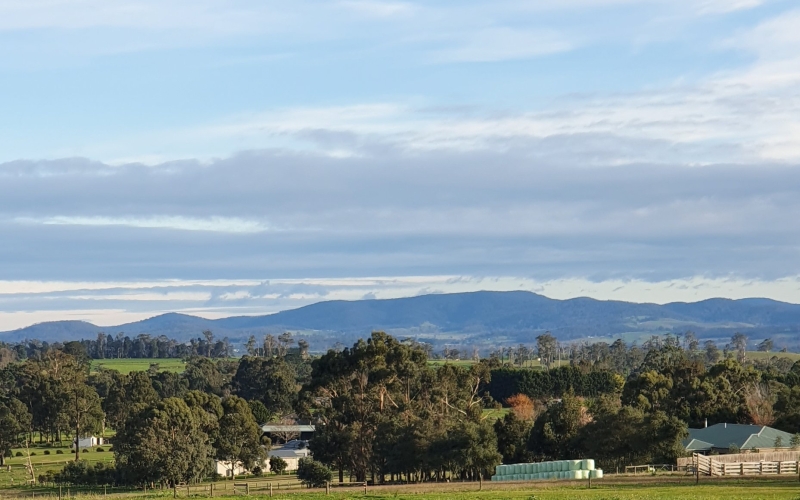 Drouin has some great country vibes, while remaining connected to Melbourne.