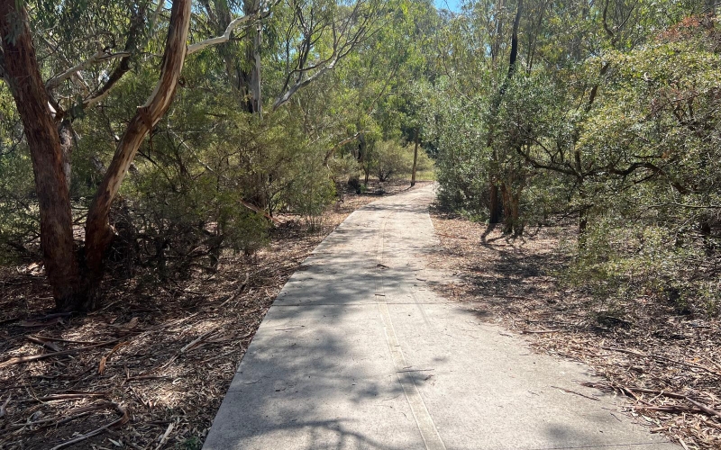 Darebin Creek Trail