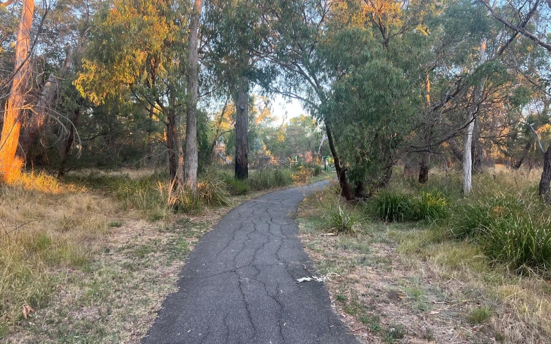 There are some great walking tracks in the area.