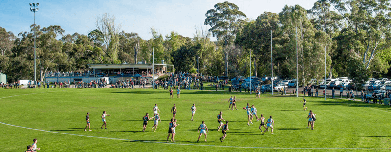 North Heidelberg Sporting Club. Credit image: https://www.heidelbergfnc.com.au/contact