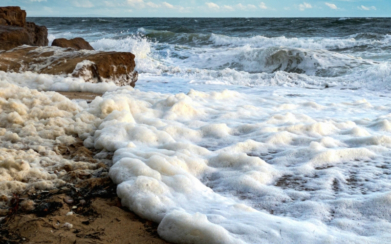 Sandringham Beach