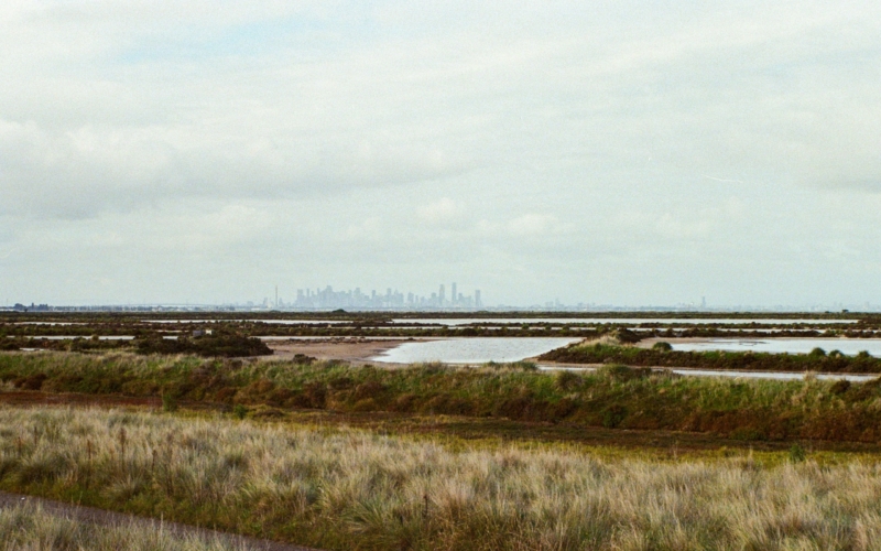 Point Cook Wetlands