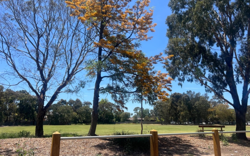 Highbury_Park_Burwood_East Highbury Park features some lovely scenic walking tracks, playgrounds and much more.